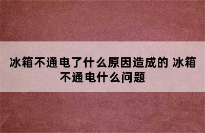 冰箱不通电了什么原因造成的 冰箱不通电什么问题